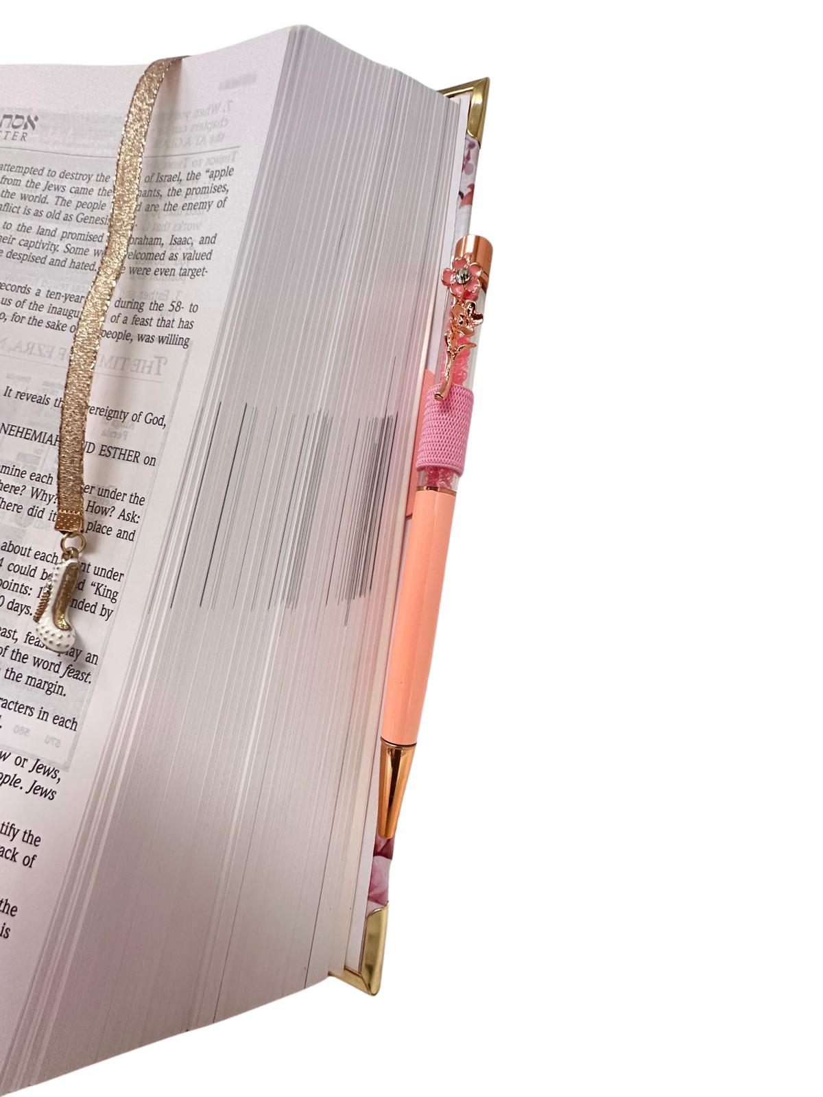 Custom name-plated Bible: Esther Edition