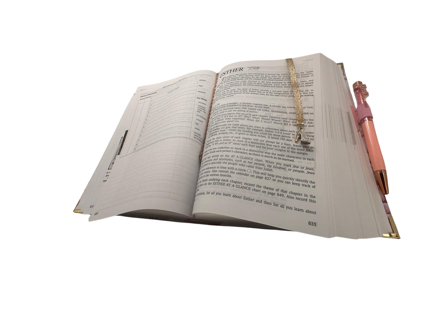 Custom name-plated Bible: Esther Edition