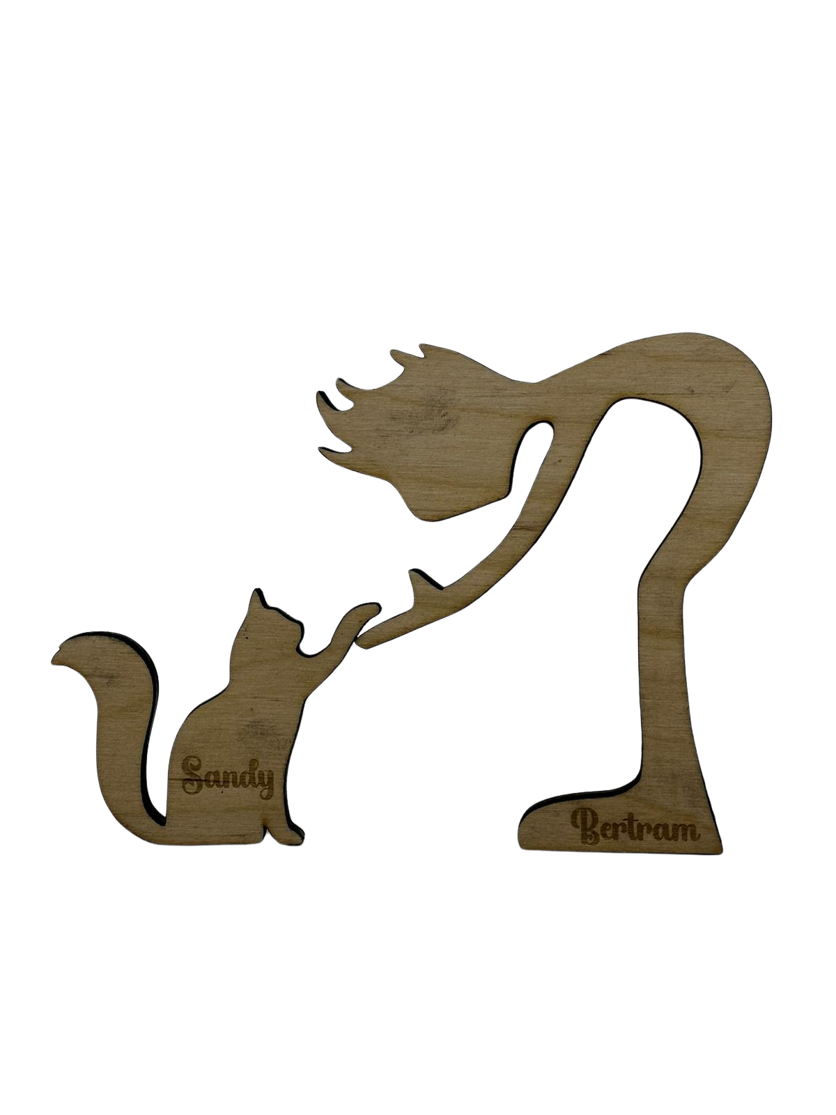 Feline friend Owner and pet stand