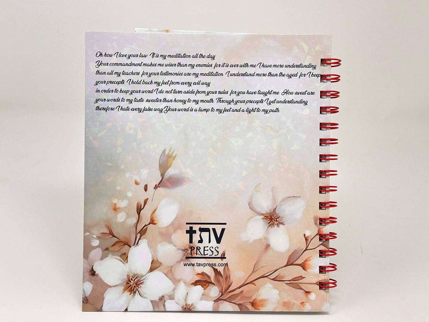 Women's warrior Sermon Notebook