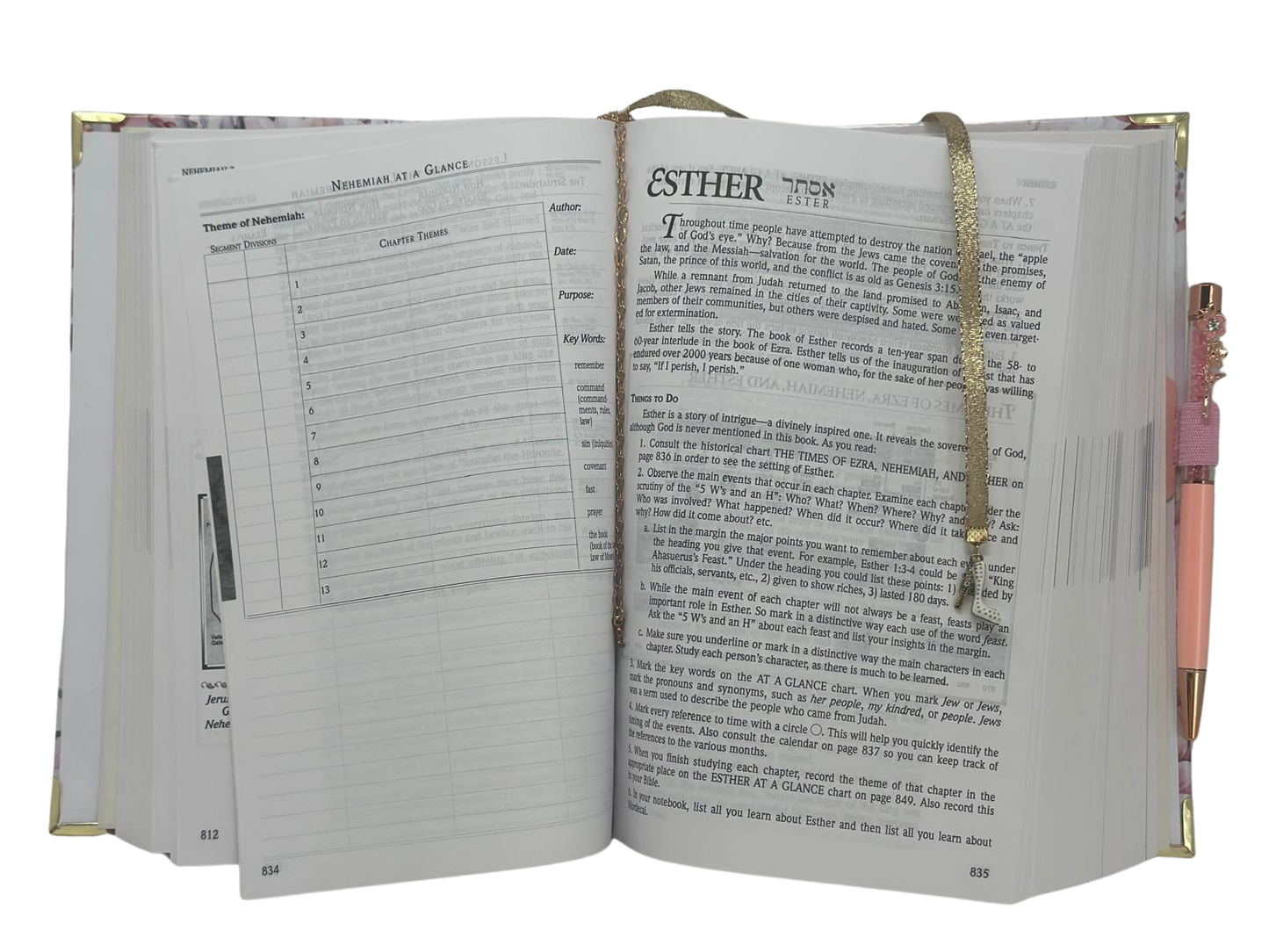 Custom name-plated Bible: Esther Edition